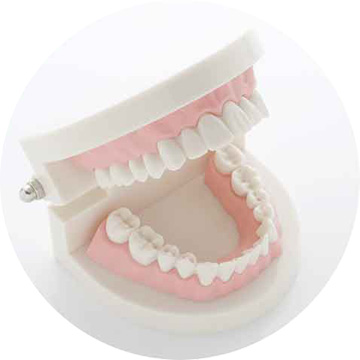 歯が悪いと体調が悪くなりやすい